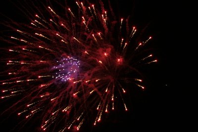 fireworks image by Earl Robbins from Fotolia.com Even small fireworks can upset your dog.