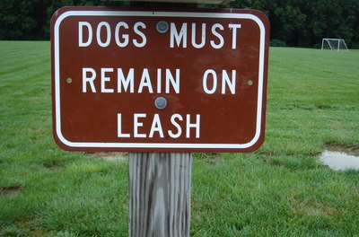 dog on leash sign image by Tammy Mobley from Fotolia.com Giant schnauzers should always be kept on leash while away from home.