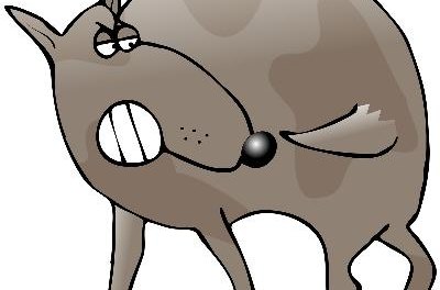 Dog Chasing Its Tail image by caraman from Fotolia.com Put an end to tail-biting behaviors.