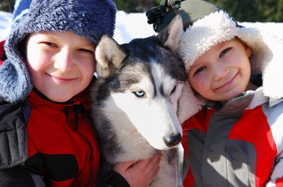 Children and husky dog image by Marzanna Syncerz from Fotolia.com Flea collars are dangerous for both 2-legged and 4-legged members of the family.