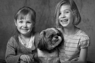 Children with Dog image by Mat Hayward from Fotolia.com A Bichon Shih Tzu is a loyal and friendly pet.