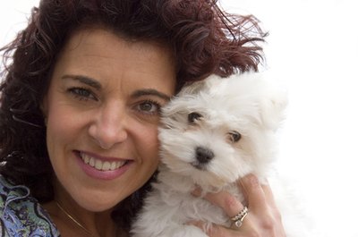 woman and bichon dog image by Pierrette Guertin from Fotolia.com Excessive cuddling can create a problematic barker.