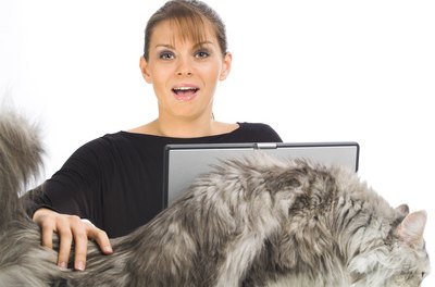 woman with big cat image by T.Tulic from Fotolia.com Some folks just need a really big cat, like this silver Maine coon.