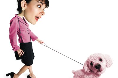 Photodisc/Photodisc/Getty Images Groom to give your cockapoo his own special look.