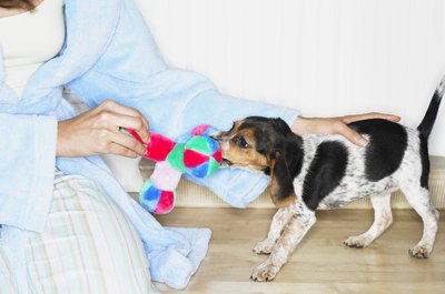 Digital Vision./Photodisc/Getty Images Soft toys are a good replacement for socks.
