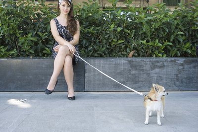 Jupiterimages/Goodshoot/Getty Images Every dog needs at least one good leash.