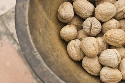 Jupiterimages /Polka Dot/Getty Images Walnuts contain plenty of fat, but it's the good kind.