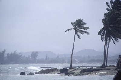 DC Productions/Photodisc/Getty Images After hurricanes or other natural disasters hit, FEMA reimburses states and local governments to pay for subcontractors.