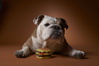Chris Amaral/Photodisc/Getty Images Soft socks may feel better in his mouth than hard rubber toys.
