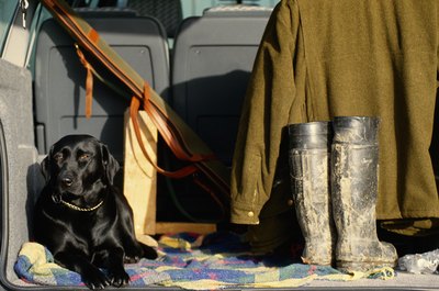 David De Lossy/Photodisc/Getty Images "I wish they made a pair of boots like that in my size."