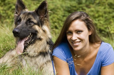 Coats & Colors of German Shepherd Dogs - Pets