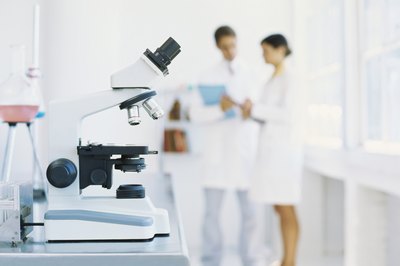 George Doyle/Stockbyte/Getty Images Cytotechnologists work in laboratories and study human cells.