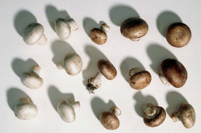 Jupiterimages/Comstock/Getty Images Mushrooms are much easier to digest when they are cooked.