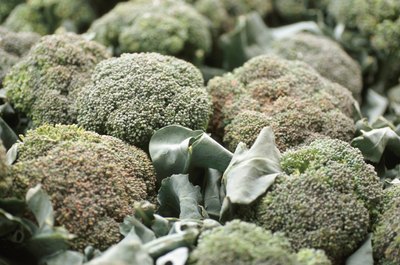 Hemera Technologies/Photos.com/Getty Images Broccoli is a member of the cabbage family.