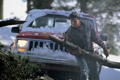 Comstock/Comstock/Getty Images A comprehensive auto policy will help pay for damages caused by a fallen tree.