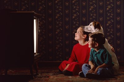 Jupiterimages/liquidlibrary/Getty Images Dogs are a new potential TV viewing audience -- seriously.