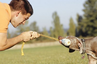 Ryan McVay/Digital Vision/Getty Images Getting your dog to listen to you can be a tug of war, but it's not a game.