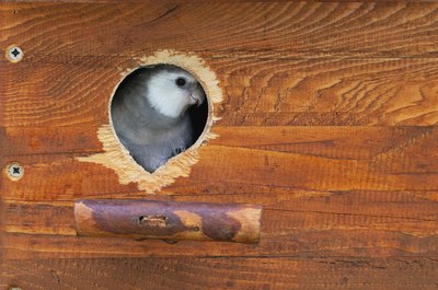 odole/iStock/Getty Images