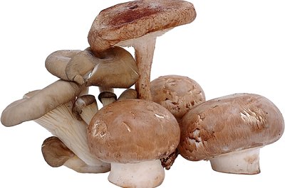 Zedcor Wholly Owned/PhotoObjects.net/Getty Images Mushrooms are high in minerals and B vitamins.
