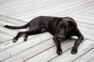 Jupiterimages/Photos.com/Getty Images Nothing a little rest can't cure.