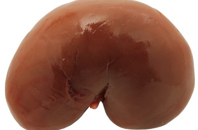 Stockbyte/Stockbyte/Getty Images Healthy kidneys can handle excess protein without issue.