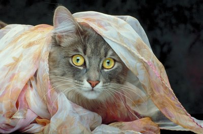 Jupiterimages/Photos.com/Getty Images Your kitty's meow is sometimes -- literally -- too high to hear.