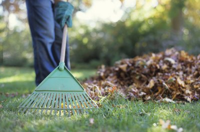 George Doyle/Stockbyte/Getty Images Deed restrictions may require that you keep your yard looking good.