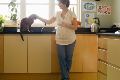 Jupiterimages/Pixland/Getty Images Petting kitty reminds him of the grooming he received from his mother.