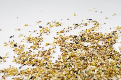 Jupiterimages/liquidlibrary/Getty Images A balanced diet for both finches and parakeets includes seeds and a variety of other foods.