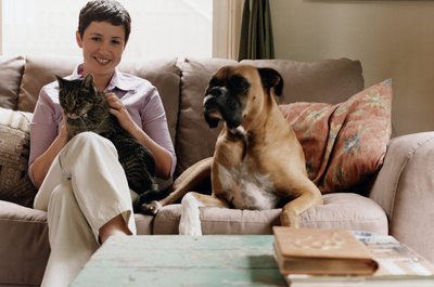 Ryan McVay/Photodisc/Getty Images Multipet households with dogs and cats are quite common, according to American Veterinary Medical Association statistics.