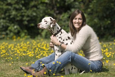 Jupiterimages/Polka Dot/Getty Images Hay fever can be tough on an outdoor dog.