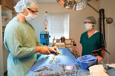 Thinkstock/Stockbyte/Getty Images Your pet's veterinarian uses a variety of surgical instruments.