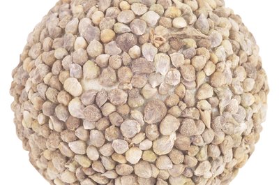 Hemera Technologies/PhotoObjects.net/Getty Images Lentils can help support your muscle-building workouts.