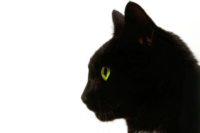 George Doyle/Stockbyte/Getty Images If your kitty has just one good eye, she lacks the excellent depth perception most cats enjoy.