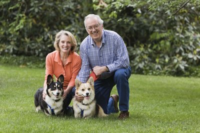 Jupiterimages/Comstock/Getty Images Encouraging your Corgi's natural instinct to run and play will help him stay in tip-top shape.