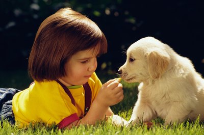 Jupiterimages/Photos.com/Getty Images Early introductions help a puppy come out of her shell.