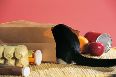 Comstock/Comstock/Getty Images "Maybe if she doesn't see me, she won't give me that nasty medicine."