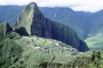 Jupiterimages/Photos.com/Getty Images Maca root was cultivated high in the Andes as food and medicine by the Incas.