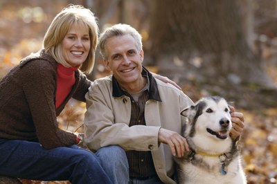 Comstock/Comstock/Getty Images A relaxed husky is easier to live and socialize with.