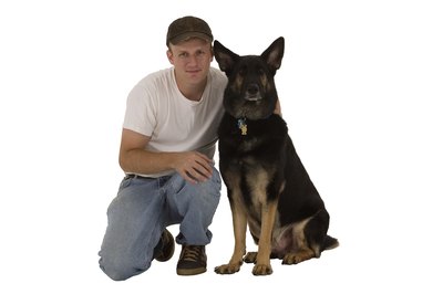 Comstock Images/Comstock/Getty Images Keep your loyal companion happy with regular grooming.