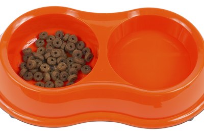 Hemera Technologies/PhotoObjects.net/Getty Images Don't be surprised if Fluffy ignores her food bowl during her heat cycle.