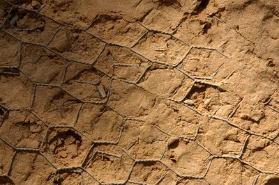 Hemera Technologies/AbleStock.com/Getty Images Buried chicken wire will deter even the most obsessive digger.