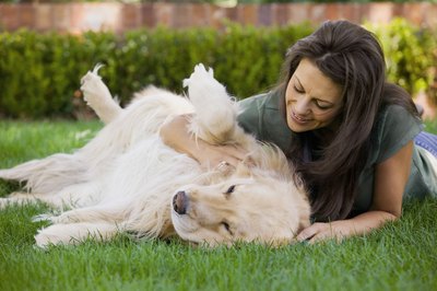 Jupiterimages/liquidlibrary/Getty Images Scratching your dog's belly might result in some leg-kicking behavior.