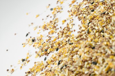 Jupiterimages/liquidlibrary/Getty Images Cockatiels are wild about seeds.