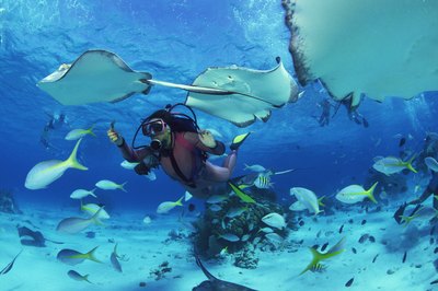 Comstock/Comstock/Getty Images Hyperbaric oxygen therapy originally helped diving decompression illnesses.