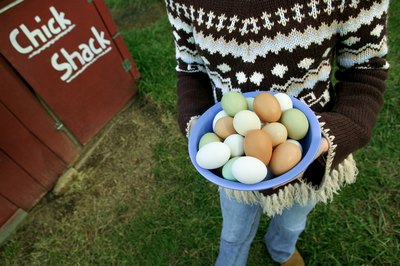Thinkstock Images/Comstock/Getty Images Eggs contain all the amino acids your body needs.