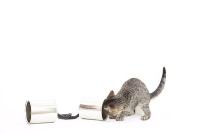 Hemera Technologies/Photos.com/Getty Images Hunting is a natural part of play for all kittens and cats.