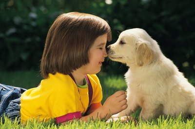 Comstock/Comstock/Getty Images Play with your puppy outside to distract her from your tempting shrubbery.