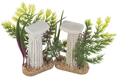 Hemera Technologies/PhotoObjects.net/Getty Images Algae grows not just on aquarium gravel and glass but also on decorative materials, rocks and plants.