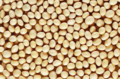 Ryan McVay/Photodisc/Getty Images Dry roasted soybeans are a satisfying snack.